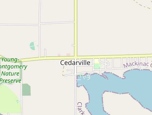 Cedarville, MI