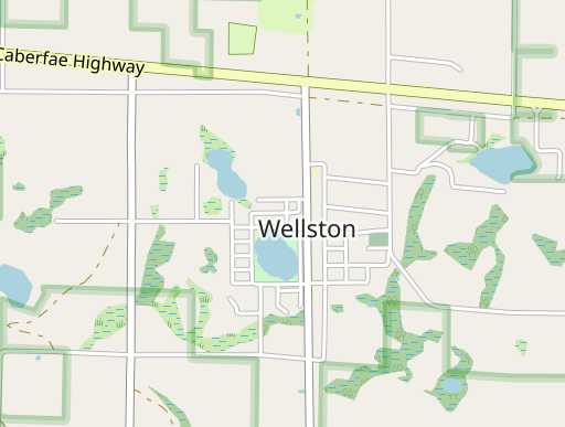 Wellston, MI