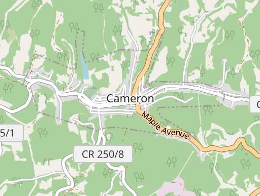 Cameron, WV